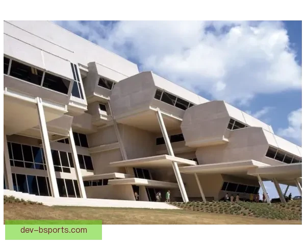 卢顿主场表现亮眼频制造麻烦却难逃降级命运